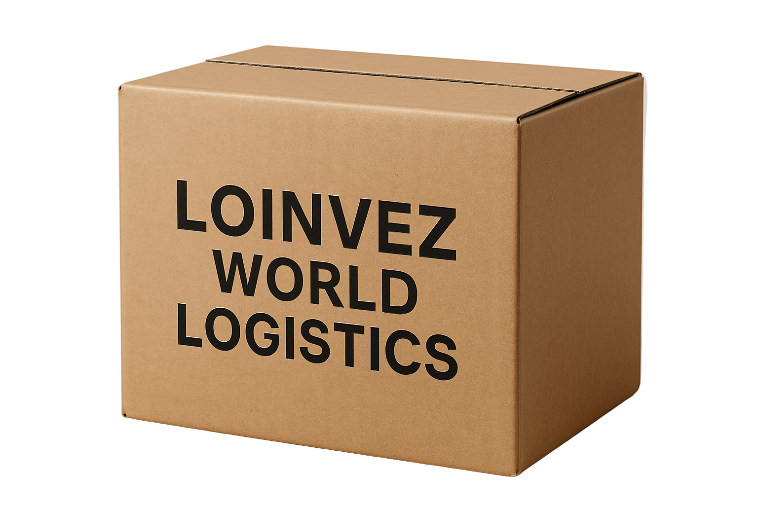 JUST THE LETTERS LOINVEZ WORLD LOGISTICS